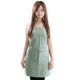 apron bs