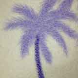 CottonBlanket-PalmTree